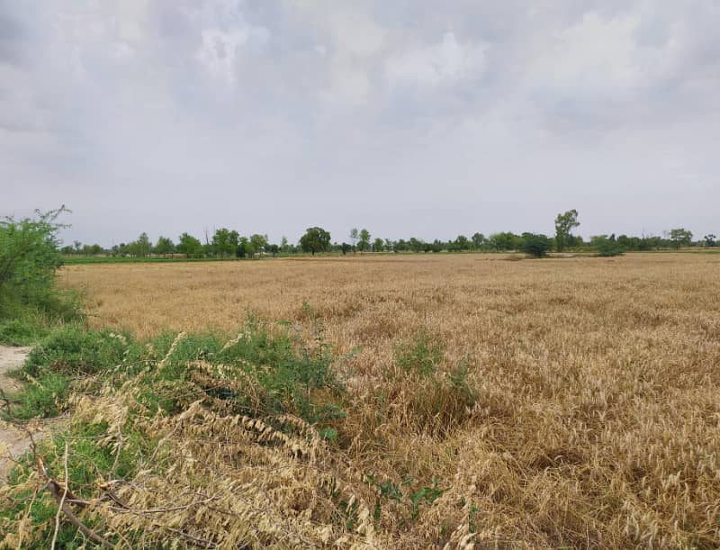 125 Acre Fully Agriculture Land For Sale 0