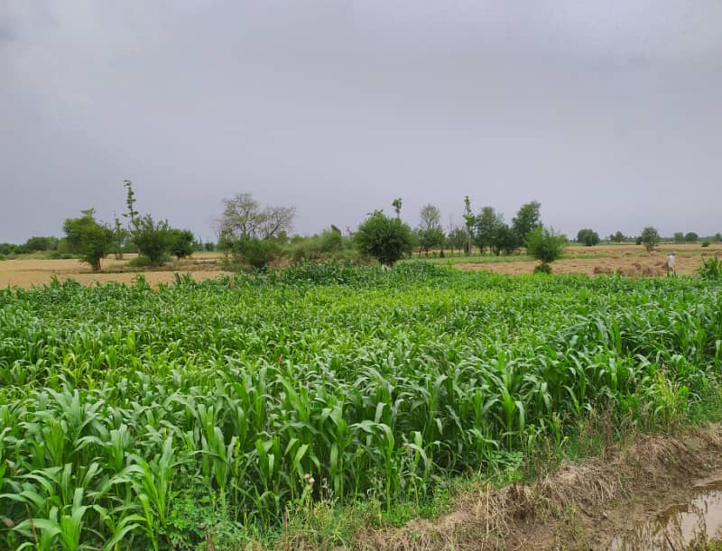 125 Acre Fully Agriculture Land For Sale 3