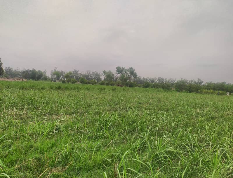 125 Acre Fully Agriculture Land For Sale 6