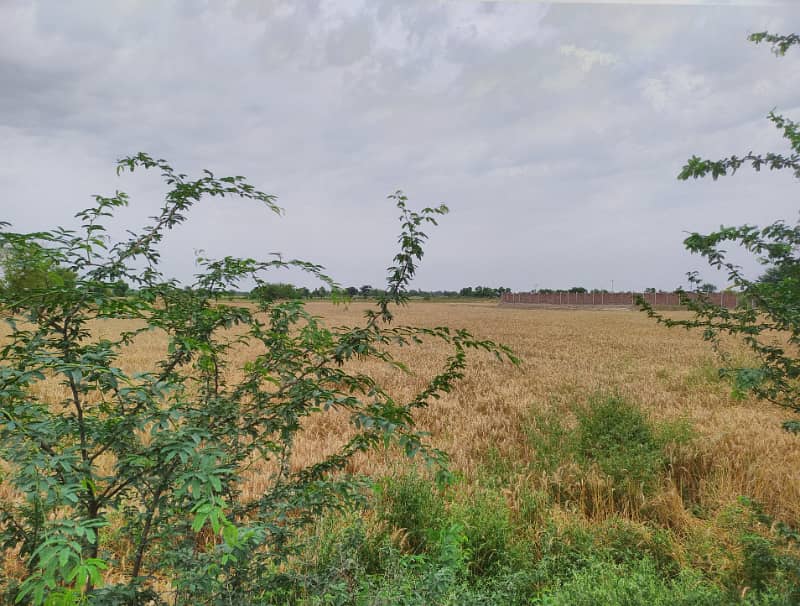 25 Acre Fully Agriculture Land For Sale 1