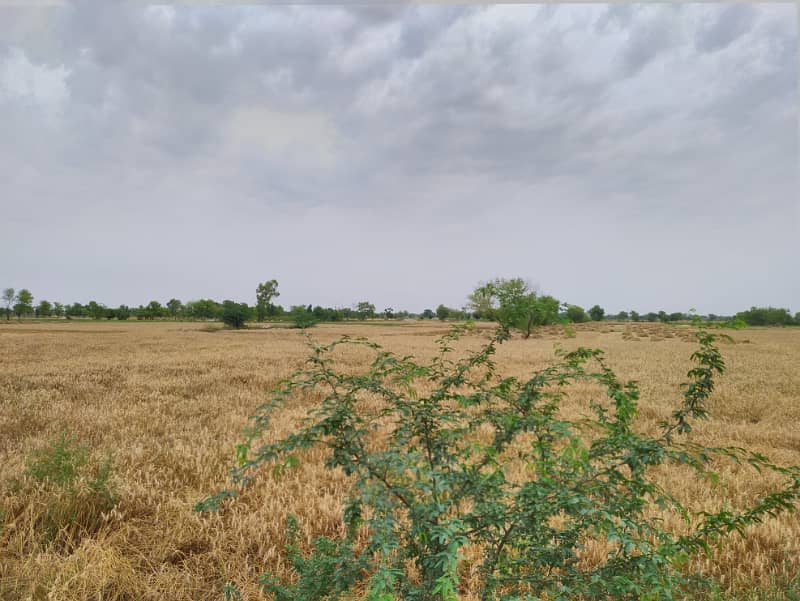 25 Acre Fully Agriculture Land For Sale 3