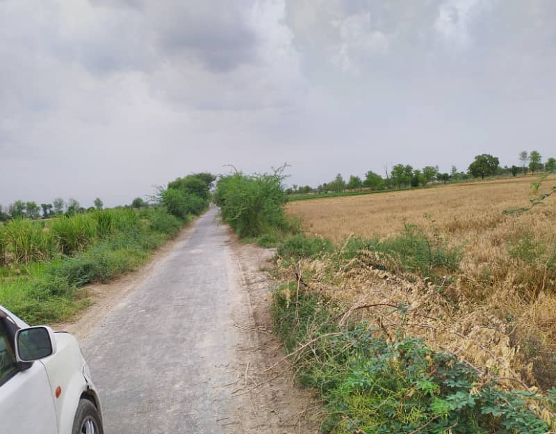 10 Acre Fully Agriculture Land For Sale Front Carpeted Road 1