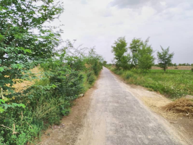 10 Acre Fully Agriculture Land For Sale Front Carpeted Road 2