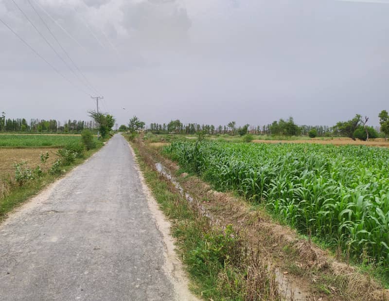 10 Acre Fully Agriculture Land For Sale Front Carpeted Road 5