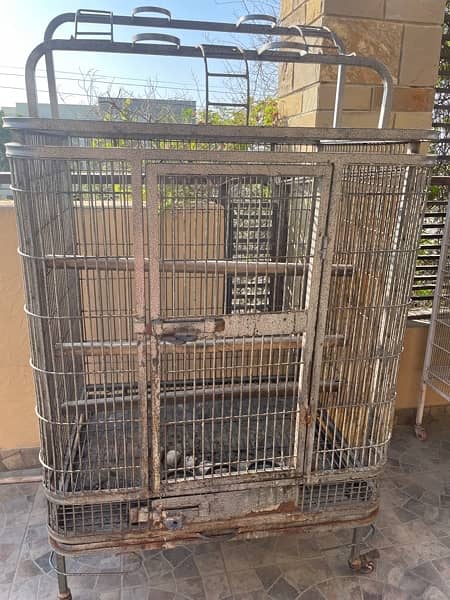 macaw cage for sale 1