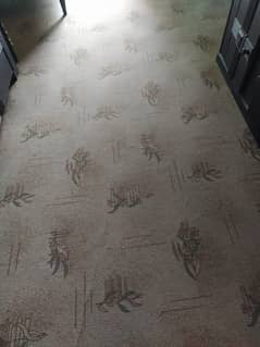 Brown carpet 14 X 16 ft dressing room size