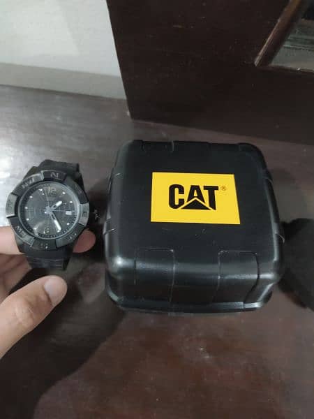 Original Cat Watch 3