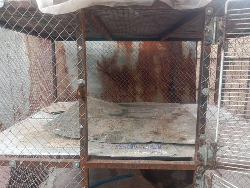 HIGH QUALITY CAGE FOR SALE 1
