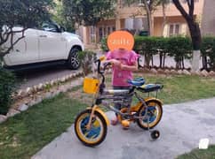 kids cycle with sportable wheels double Seater