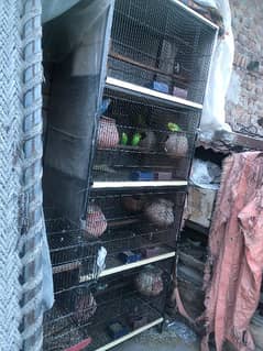 4 portion Cage For Sale