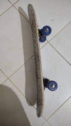 Skateboard for adults with Extra 4 wheels | 0