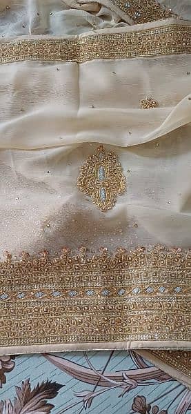 Bridal Sharara - Mehndi/Nikkah 3