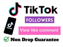 TikTok Followers Likes Views YouTube Subscribers and watchtime 0