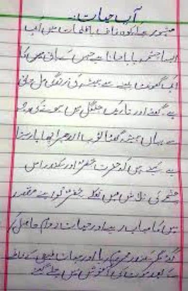 I can write assignment in English and urdu 12