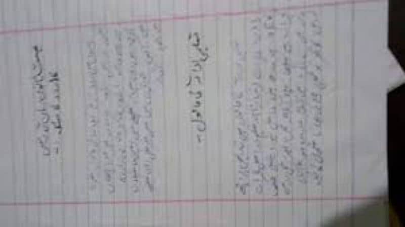 I can write assignment in English and urdu 15