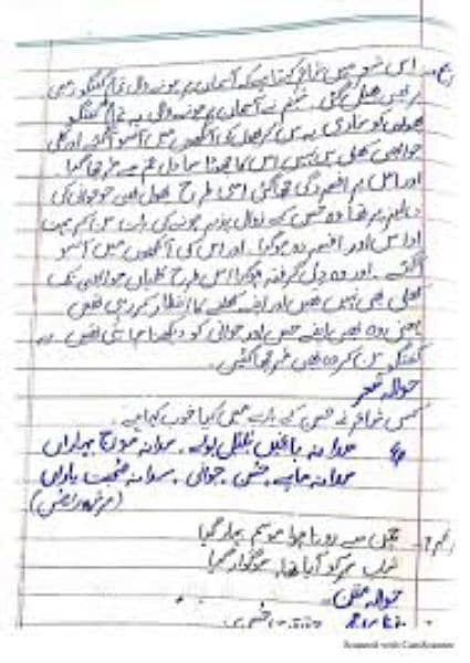I can write assignment in English and urdu 16