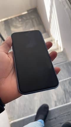 Iphone XR 128GB Lush Condition
