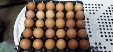 Farm fresh desi eggs for sale all over Lahore mostly double Zardi Eggs