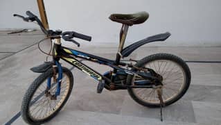 I am sailing my 2 bicycle in good condition 0336/22/99/008