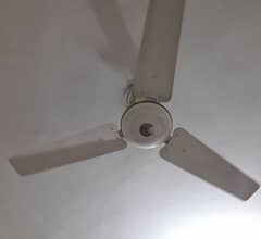 Pak Fan 56 inch Ceiling Fan in Excellent Condition 0