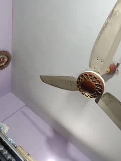 2 fans use mai h 1 year use only