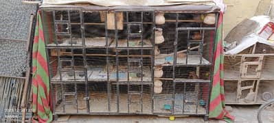Cage for Sale urgent
