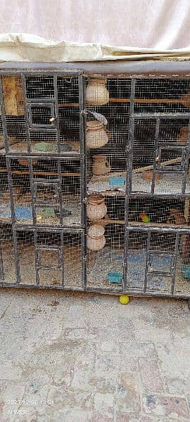 Cage for Sale urgent 2