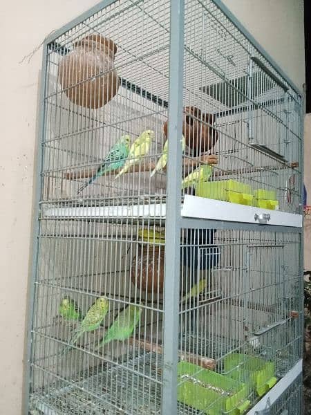 angle cage for sale 5