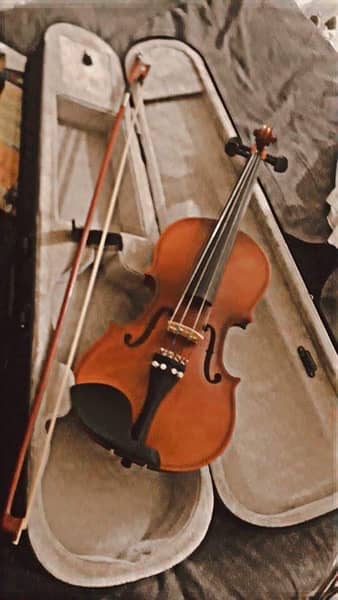 violin 4
