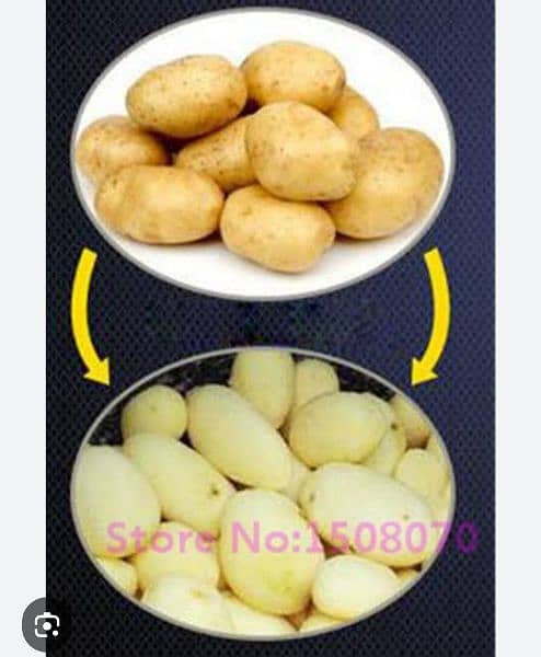 potato Piller machine imported Korea stainless steel body 220 voltage 4