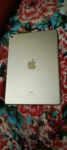 ipad Pro 128 GB gold color water pack lush condition 5