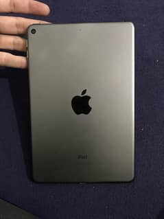 iPad mini 5 0