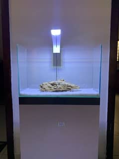 Terrerium Tank For nano Aquarium