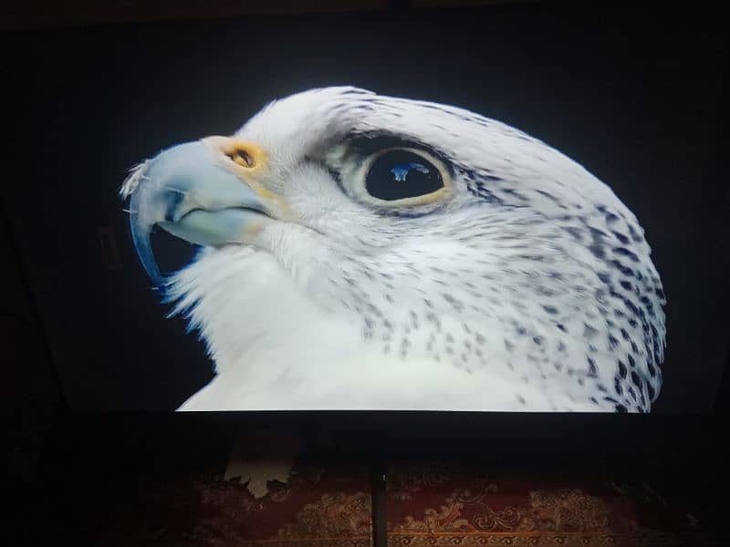 NEW box pack 48 inch LCD for sale in bahria 3