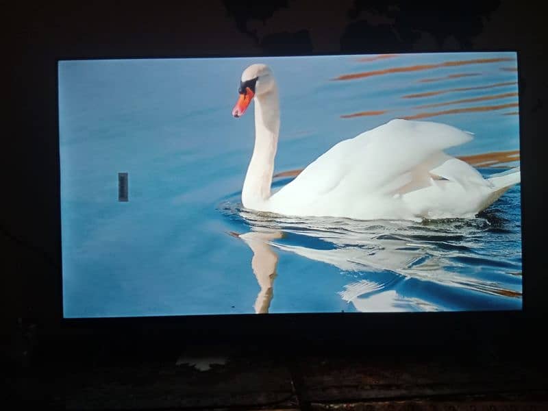 NEW 32 inch LCD for sale in bahria. . . . 3