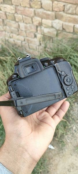 Nikon D5300 with 18_105mm vr lenz 3