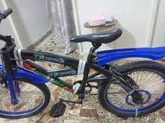 2 cycles for sale