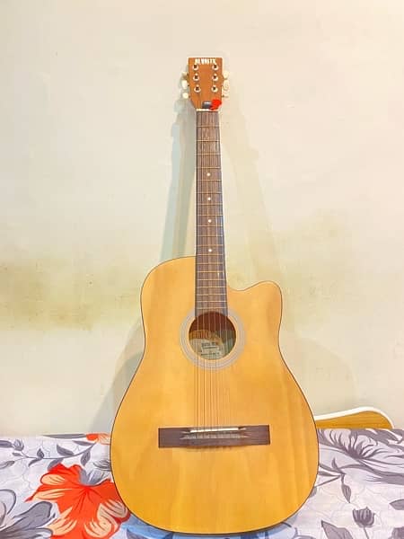 Hi Volts Acoustic guitar for Beginners and Expertise 1
