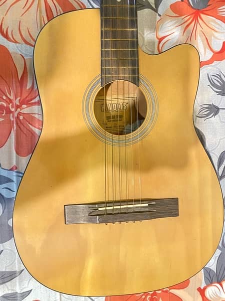 Hi Volts Acoustic guitar for Beginners and Expertise 4