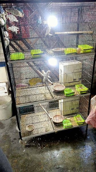 2 Spot walding Big  Birds cage For sale 1