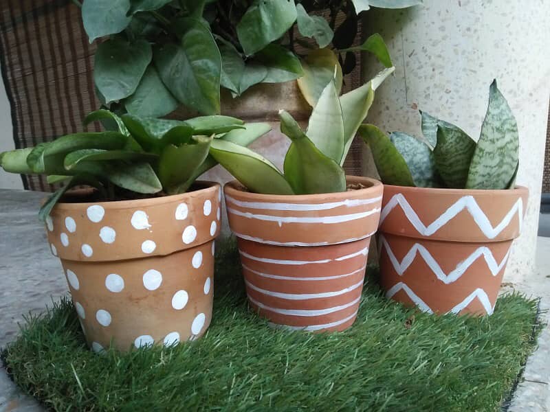 painted pots and fresh plants 5