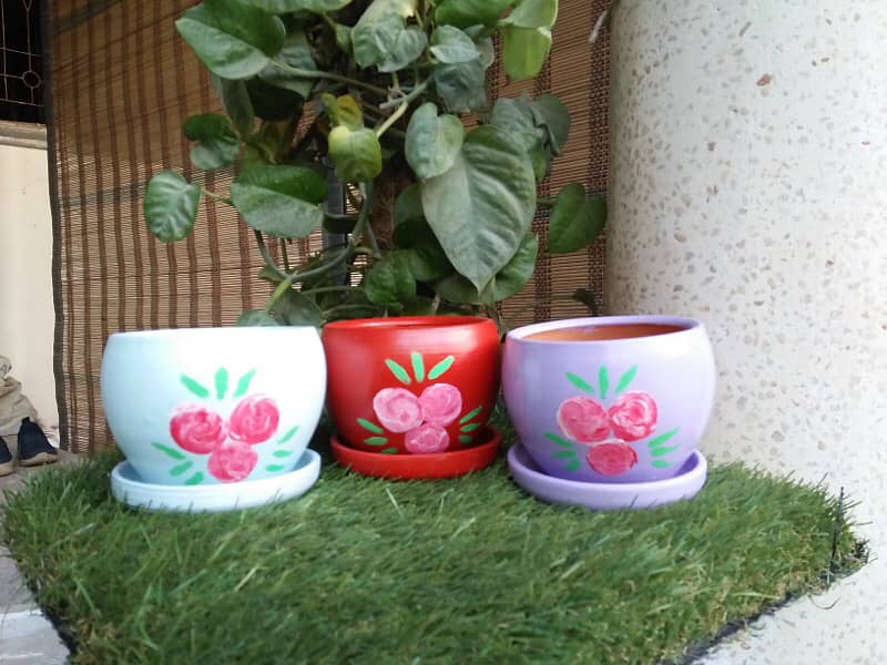 painted pots and fresh plants 9