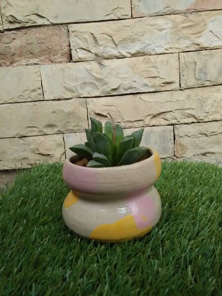 painted pots and fresh plants 14