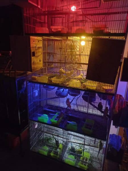 eight portion very heavy cage just like brand new 1