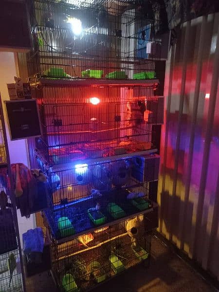 eight portion very heavy cage just like brand new 2