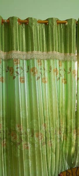 parrot garden colour curtains 1