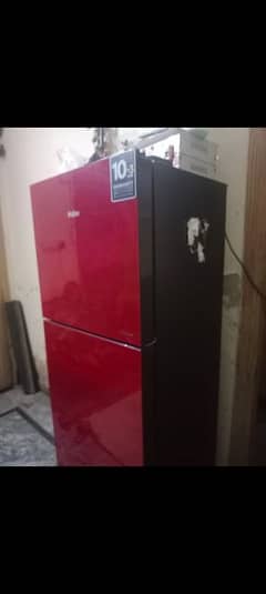 fridge in red or grey colour with 2 doors and garenty