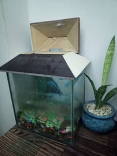 Small Table Aquarium with Pebbles