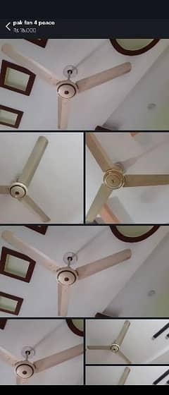 ceiling fan 5  bracket fan 1 floor fan 2