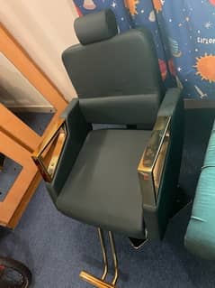 Luxury Salon Chair